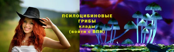 синтетический гашиш Верхний Тагил