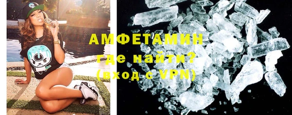 шишки Сосновый Бор