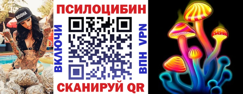 Псилоцибиновые грибы Magic Shrooms  Новосокольники 